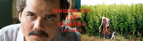 хмурый Елизово