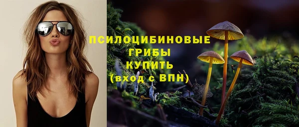 хмурый Елизово