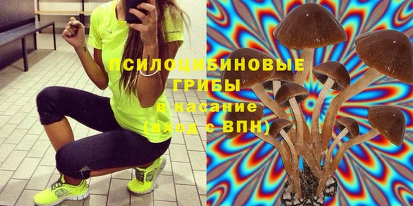 ALPHA-PVP Ельня
