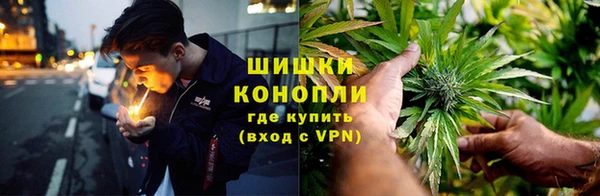 хмурый Елизово